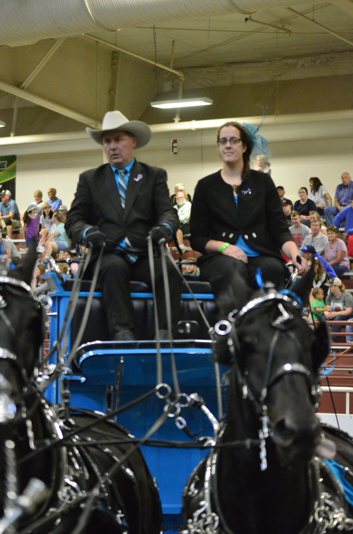 8-25-19 Draft Horse Hitch Final (115).JPG